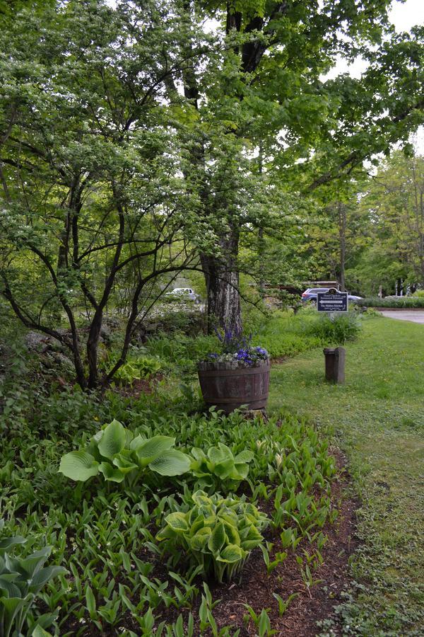 The Inn At Weathersfield Perkinsville 외부 사진